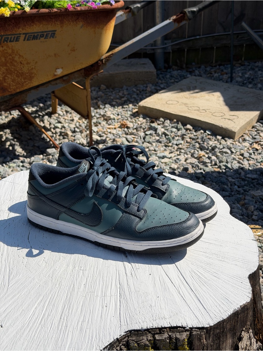 Nike dunk low